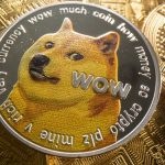 Илон Маск посоветовал не вкладывать сбережения в Dogecoin