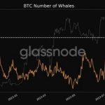 Glassnode: на этой неделе число BTC-китов достигло 10-месячного пика