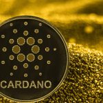 Аналитик Дэн Гамбарделло сравнил Cardano c онлайн-ретейлером Amazon