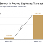 За 2 года пропускная способность Lightning Network биткоина выросла на 1212%