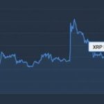 Алгоритм машинного обучения определил цену XRP к 30 ноября