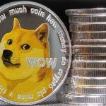 Режиссер вложил деньги от Netflix в Dogecoin и заработал $27 млн