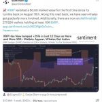 Активность китов в сети XRP установила максимум после роста цены до $0,6